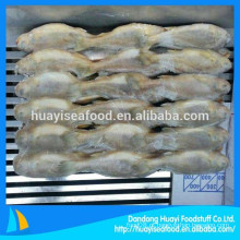 Croaker Amarelo Pequeno Em Venda China Croake Amarelo